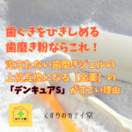 歯ぐきをひきしめる歯磨き子粉ならこれ！泡立たない歯磨きジェルの上位互換になる【全薬】の「デンキュアS」がすごい理由！